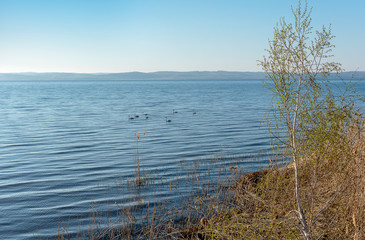 On the bank of a wide river in the early spring morning