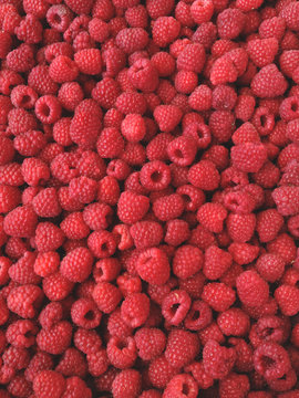Red raspberry