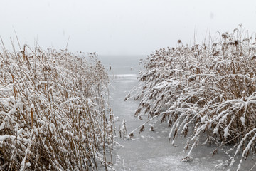 Senftenberger See im Winter