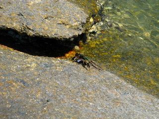 Langkawi, Malaysia, Andaman Sea 