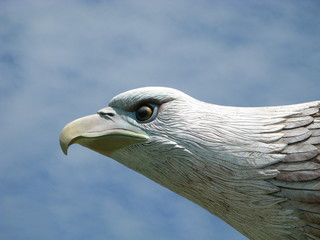 eagle, Langkawi, Kuah, Malaysia