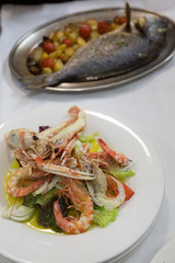 Seafood Salad and baked fish, Food of Bocca di Magra Italy