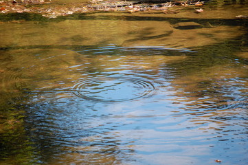Ripple in Water
