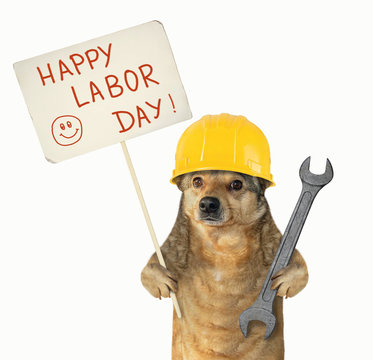 The Dog Worker In A Helmet Is Holding A Wr And A Poster.  Happy Labor Day. White Background. Isolated