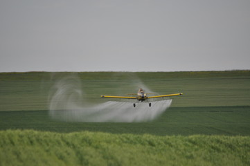Cropdusting Swirly Tail