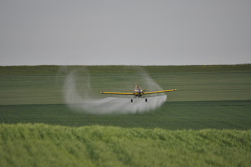 Crospdust Swirly Tail