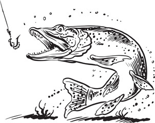 Vector  illustration with a pike for design on a fishing theme