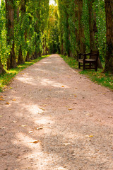 Fototapeta premium hiking path in public park near Castle Deutschorden in Bad Merghentheim, Germany 3