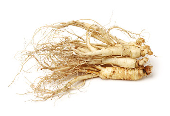 ginseng isolated on white background