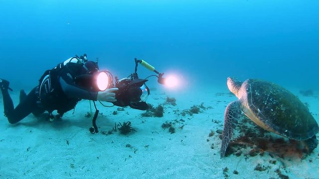 An underwater cameraman with lights filming a turtle for a documentary program