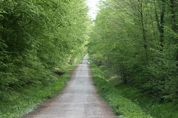 nature
