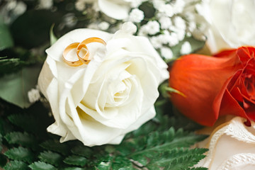 Two wedding rings are on the bud of a white rose.