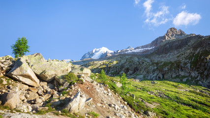 Fototapeta na wymiar Traveling to beautiful French Alps in summer