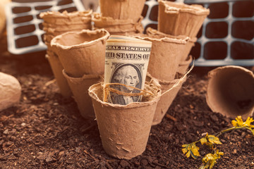 Fototapeta na wymiar Biodegradable peat pot soil containers and US dollar banknotes