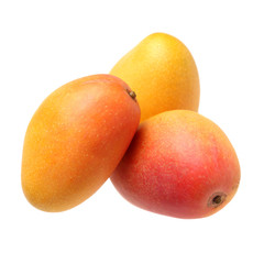 mango fruit isolated on white background