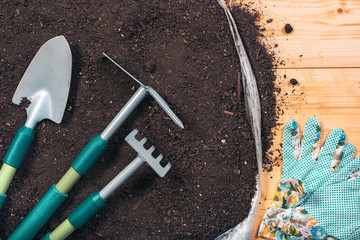 Gardening tools on potting soil, top view
