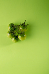 Green tomato on green, conceptual food