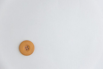 beautiful old retro button on white background, short focus