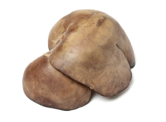 Pork liver on white background
