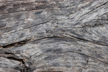 wood grain background