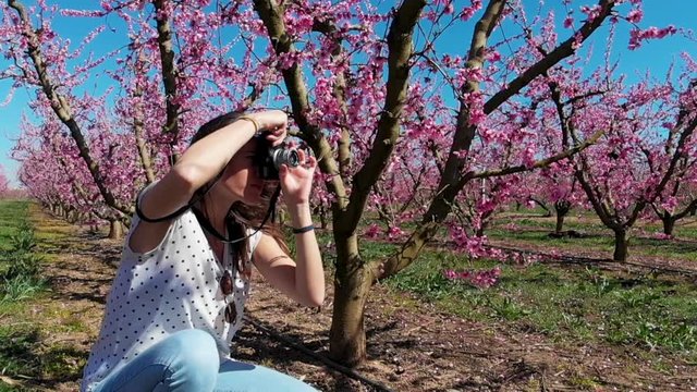 Female Photographer Taking Photos of Blooming Cherry Trees on a Clear Windy Day