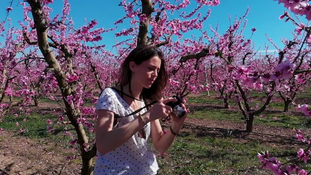 Slow Motion Shot of an Attractive Young Photographer Taking Closeup Shots in a Garden Filled with Cherry Bloosom Trees
