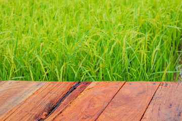 Green fields outside the city