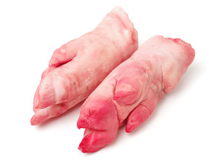 fresh pig trotter on white background 