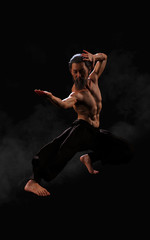 3d Illustration Human Martial Arts Sports Training with Clipping Path, Kung Fu Master, Muscle Man...