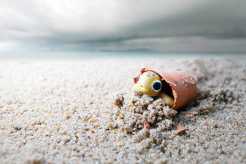 Obraz premium Baby sea turtle trapped in a floral plastic pot . Environmentalism and plastic awareness concept background.