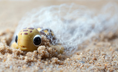 Baby sea turtle tangled in a fishing net. Environmentalism and plastic awareness concept background.