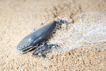Big whale and baby dolphin tangled in a fishing net . Environmentalism and plastic awareness concept background.