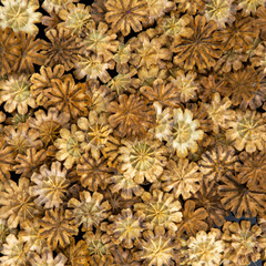 Obraz premium Natural background: pieces of dry poppy plants on a black plate, close. short focus
