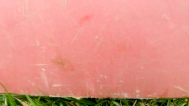 Man doing grass scarification with a machine, in his garden, from the background to close up and then going back