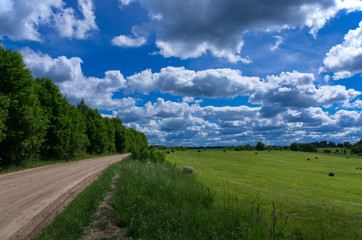 Idyllic summer landscape with green meadow and forest and blue sky with white clouds in the countryside
