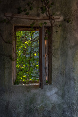 Fototapeta na wymiar Looking out a Window in an Abandoned Medieval Village in Southern Italy