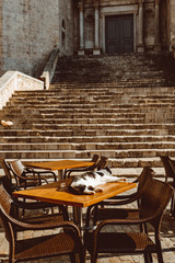 Collegiate Church of Sant Feliu in Girona, Catalonia, Spain