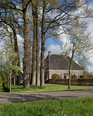 Fototapeta na wymiar Ruinerwold Drente Netherlands. Village countrylife. Dr. Laryweg peartrees