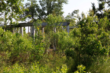 Bequest of Hurrikan Katrina, Gautier, Mississippi