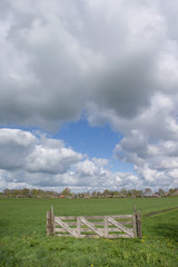 Ruinerwold Drente Netherlands. Village countrylife. Dr. Laryweg peartrees