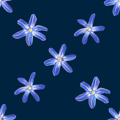 Obraz premium Blue spring flowers. Hand drawing color pencil. Template for greeting card. Wedding card