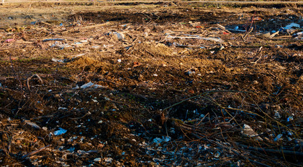 debris in the water a violation of ecology animals