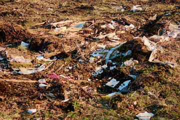 debris in the water a violation of ecology animals