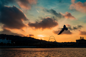 Barceloneta Beach in Barcelona with colorful sky at sunrise.