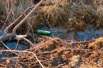 debris in the water a violation of ecology animals