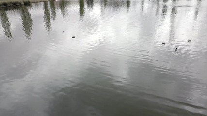43 year old male sitting on a wheelchair in the park