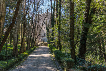 Naklejka premium At a Park near an Abandoned Villa in Southern Italy