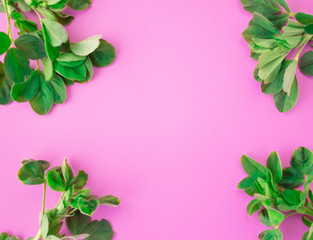 Pattern of green petals on a pink background. Flat lay, top view