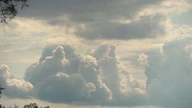 Dark sky before storm with fast moving metamorphic big volumetric clouds, with tree branches on left. Full HD Time Lapse