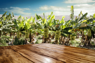 Bananas plantation and wooden table of free space for your decoration. 